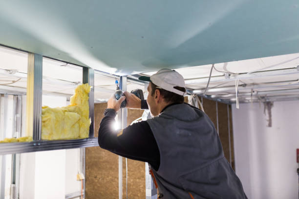 Best Insulation Maintenance and Repair in Palmetto, GA